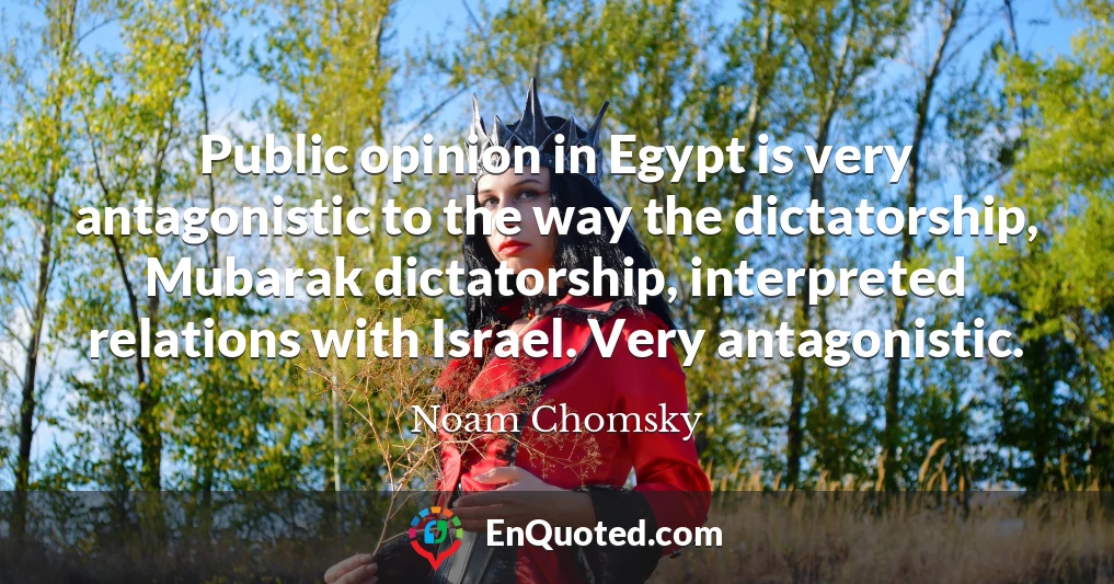 Public opinion in Egypt is very antagonistic to the way the dictatorship, Mubarak dictatorship, interpreted relations with Israel. Very antagonistic.
