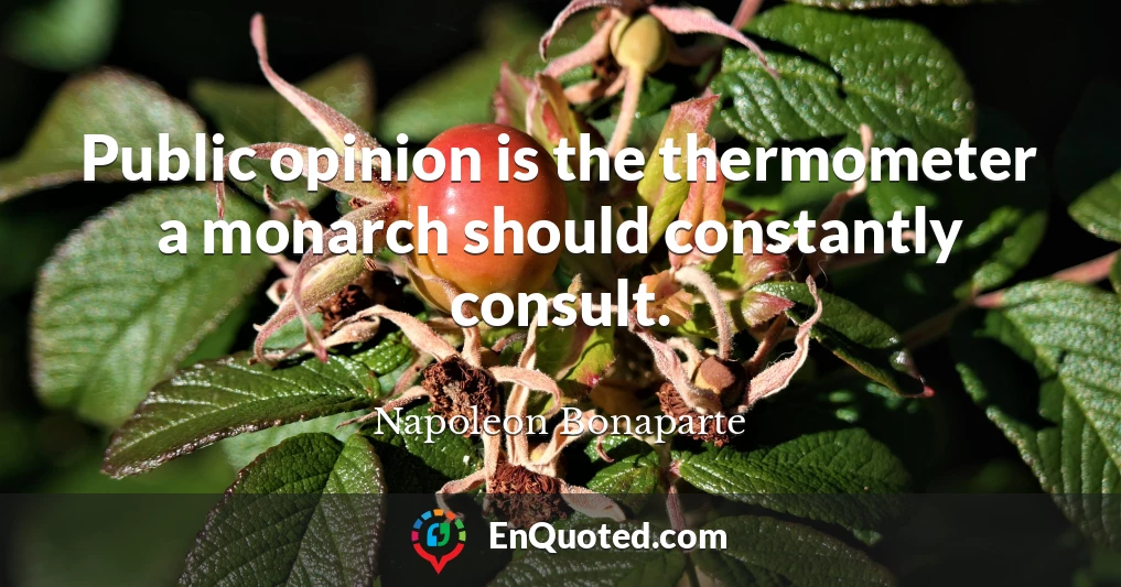 Public opinion is the thermometer a monarch should constantly consult.