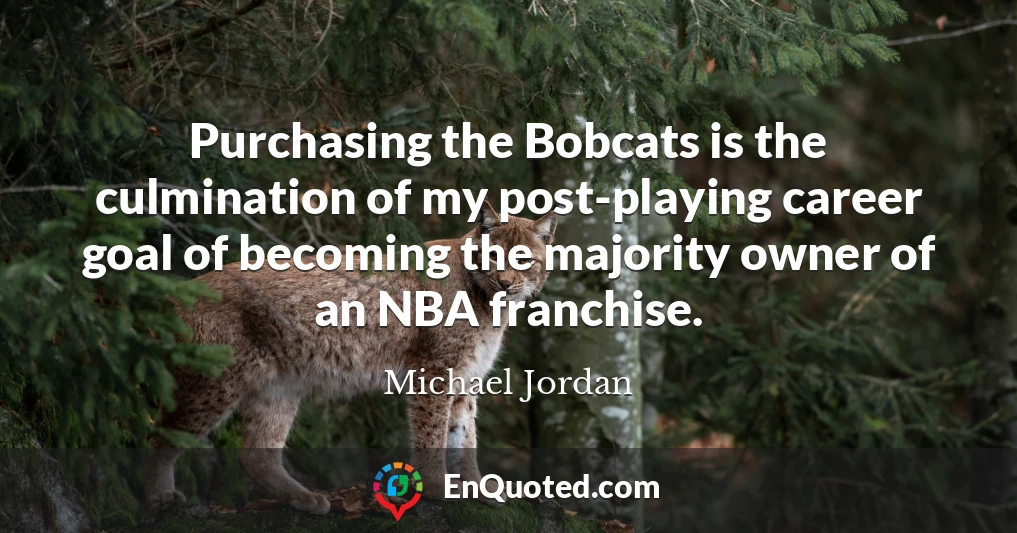 Purchasing the Bobcats is the culmination of my post-playing career goal of becoming the majority owner of an NBA franchise.