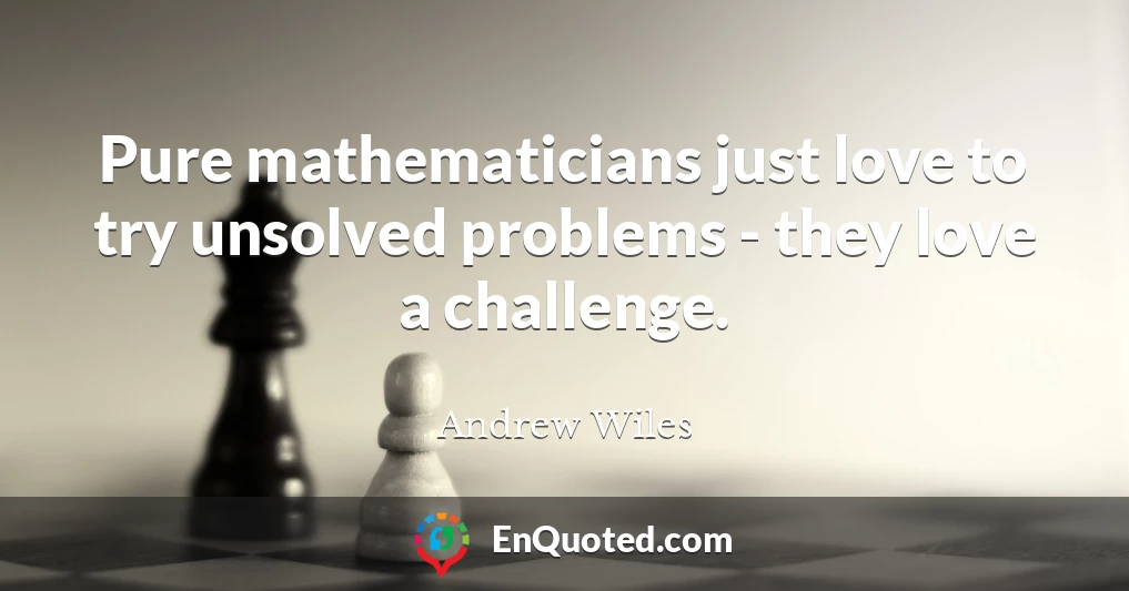 Pure mathematicians just love to try unsolved problems - they love a challenge.