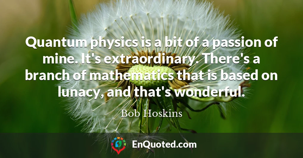 Quantum physics is a bit of a passion of mine. It's extraordinary. There's a branch of mathematics that is based on lunacy, and that's wonderful.