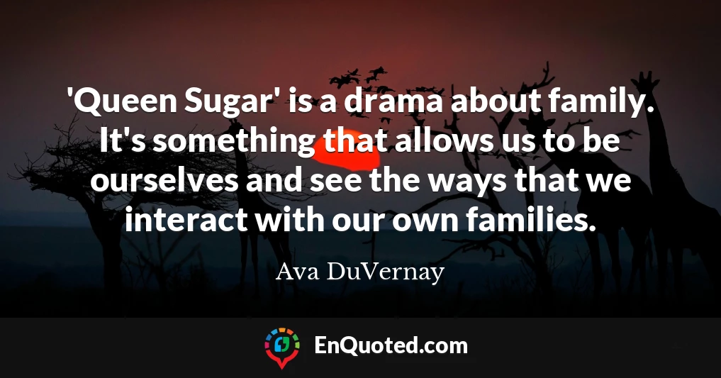 'Queen Sugar' is a drama about family. It's something that allows us to be ourselves and see the ways that we interact with our own families.