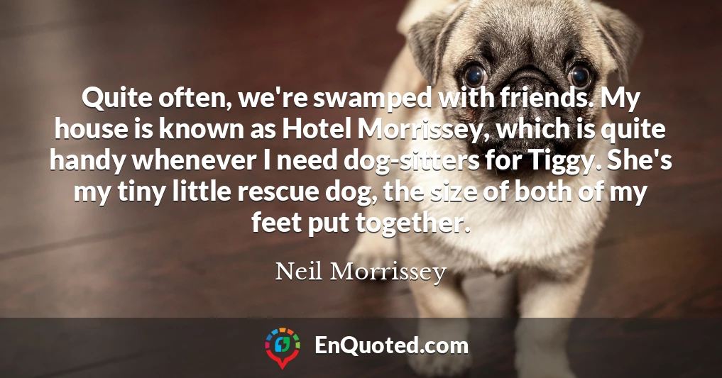 Quite often, we're swamped with friends. My house is known as Hotel Morrissey, which is quite handy whenever I need dog-sitters for Tiggy. She's my tiny little rescue dog, the size of both of my feet put together.