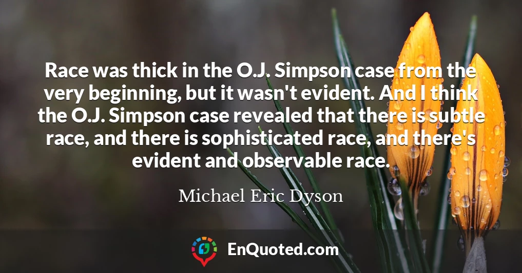Race was thick in the O.J. Simpson case from the very beginning, but it wasn't evident. And I think the O.J. Simpson case revealed that there is subtle race, and there is sophisticated race, and there's evident and observable race.