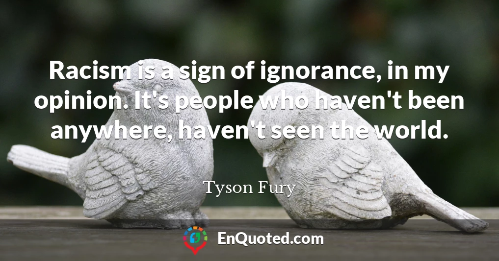 Racism is a sign of ignorance, in my opinion. It's people who haven't been anywhere, haven't seen the world.