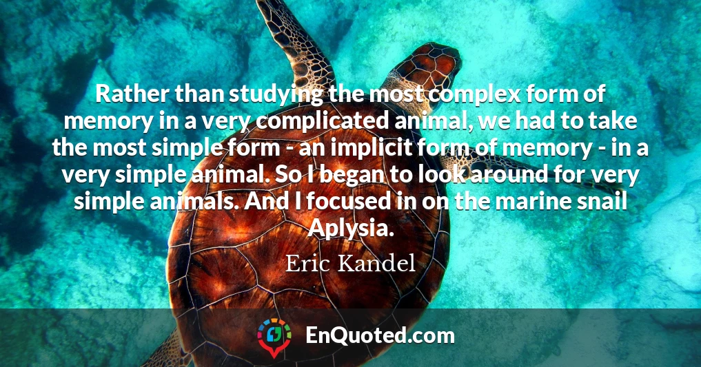 Rather than studying the most complex form of memory in a very complicated animal, we had to take the most simple form - an implicit form of memory - in a very simple animal. So I began to look around for very simple animals. And I focused in on the marine snail Aplysia.