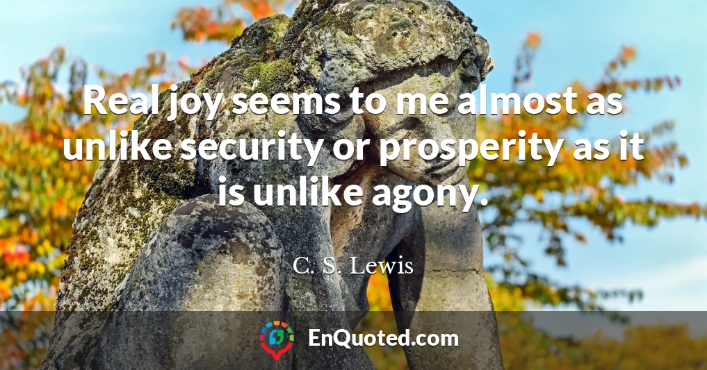 Real joy seems to me almost as unlike security or prosperity as it is unlike agony.