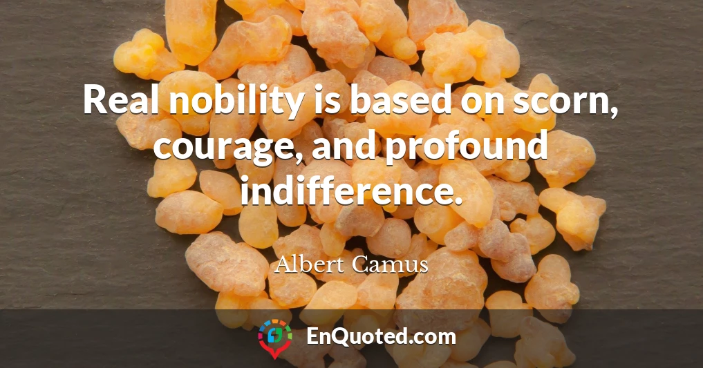 Real nobility is based on scorn, courage, and profound indifference.