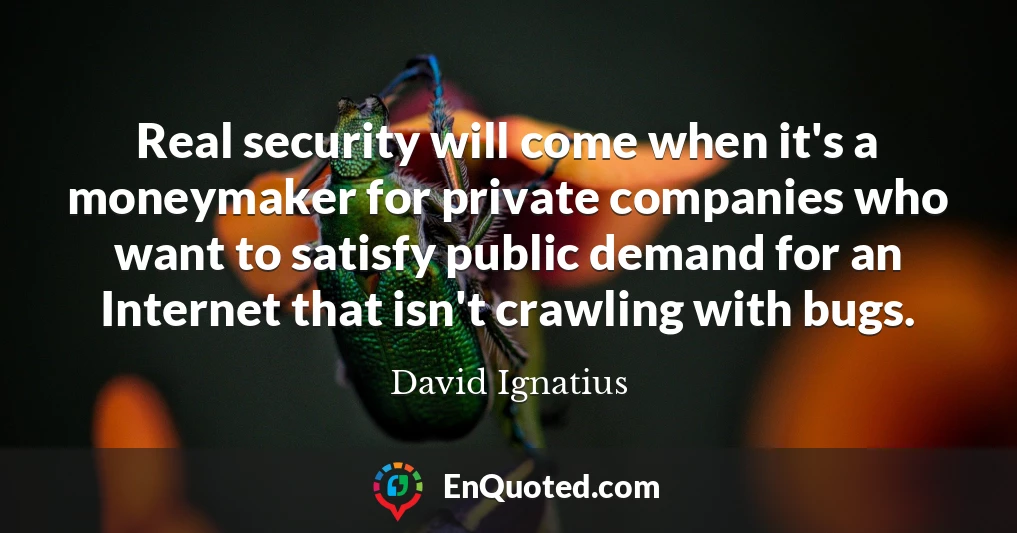 Real security will come when it's a moneymaker for private companies who want to satisfy public demand for an Internet that isn't crawling with bugs.