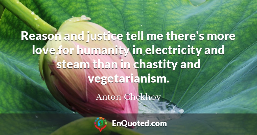 Reason and justice tell me there's more love for humanity in electricity and steam than in chastity and vegetarianism.
