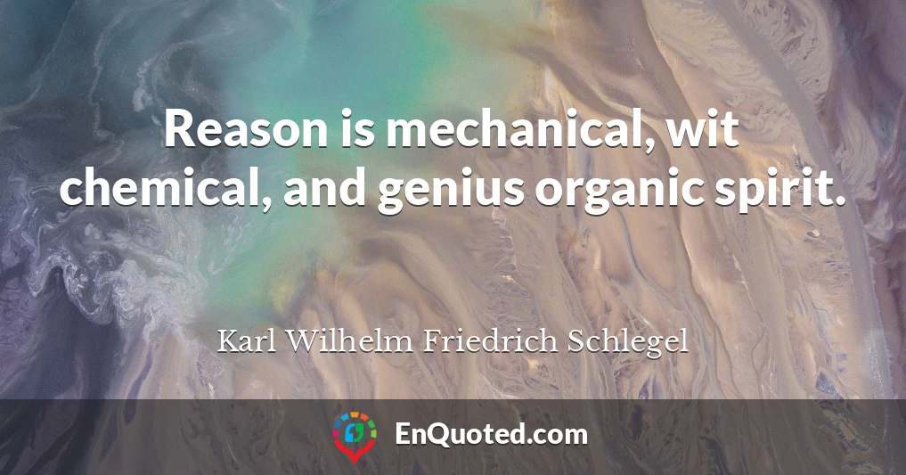 Reason is mechanical, wit chemical, and genius organic spirit.