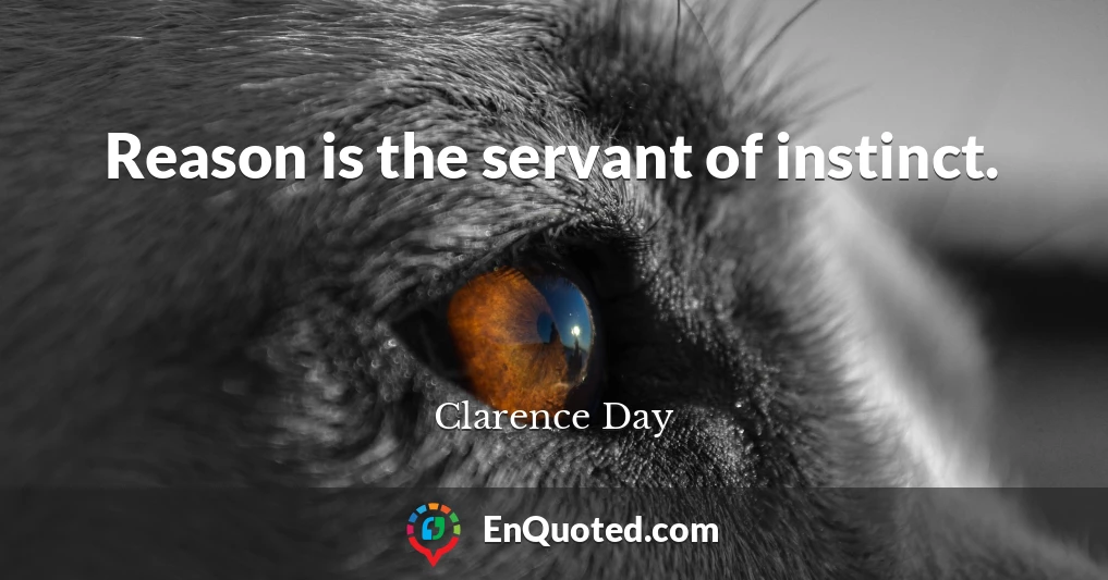 Reason is the servant of instinct.