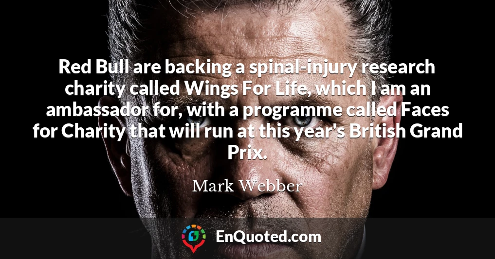 Red Bull are backing a spinal-injury research charity called Wings For Life, which I am an ambassador for, with a programme called Faces for Charity that will run at this year's British Grand Prix.