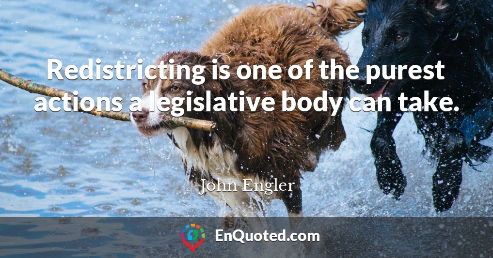 Redistricting is one of the purest actions a legislative body can take.