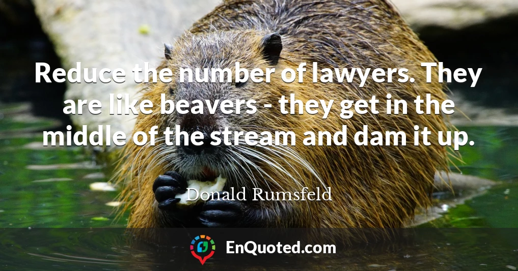 Reduce the number of lawyers. They are like beavers - they get in the middle of the stream and dam it up.