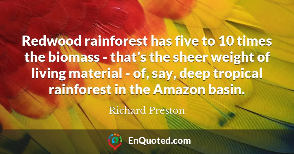 Redwood rainforest has five to 10 times the biomass - that's the sheer weight of living material - of, say, deep tropical rainforest in the Amazon basin.