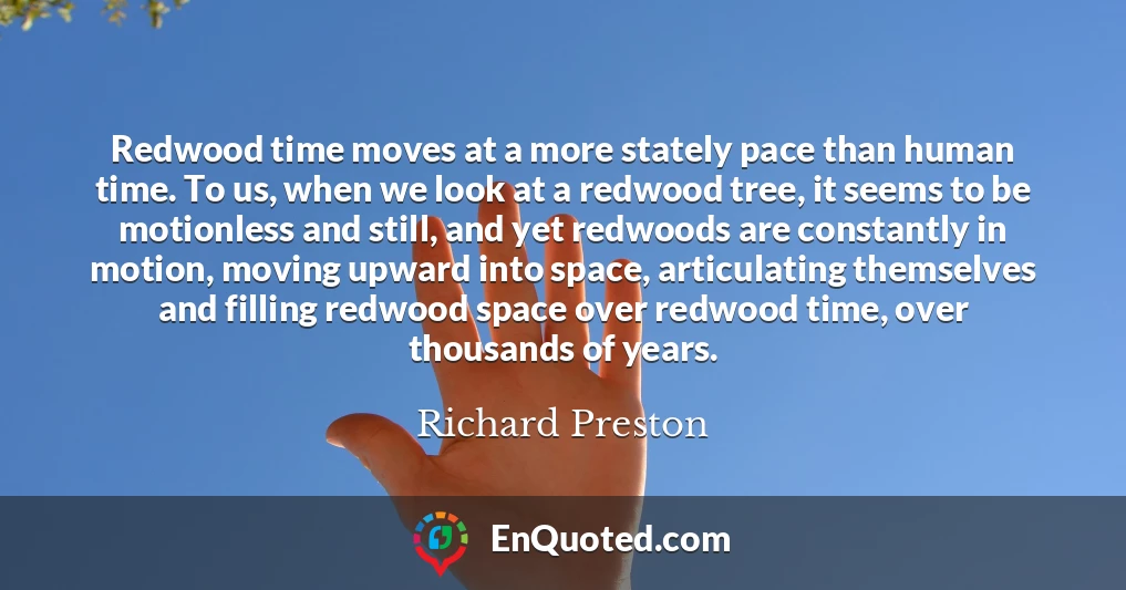 Redwood time moves at a more stately pace than human time. To us, when we look at a redwood tree, it seems to be motionless and still, and yet redwoods are constantly in motion, moving upward into space, articulating themselves and filling redwood space over redwood time, over thousands of years.