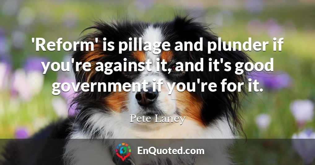 'Reform' is pillage and plunder if you're against it, and it's good government if you're for it.