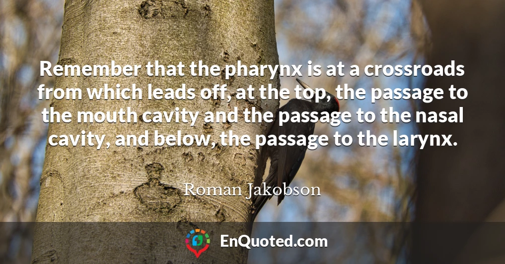 Remember that the pharynx is at a crossroads from which leads off, at the top, the passage to the mouth cavity and the passage to the nasal cavity, and below, the passage to the larynx.