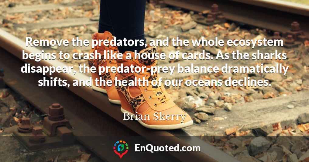 Remove the predators, and the whole ecosystem begins to crash like a house of cards. As the sharks disappear, the predator-prey balance dramatically shifts, and the health of our oceans declines.