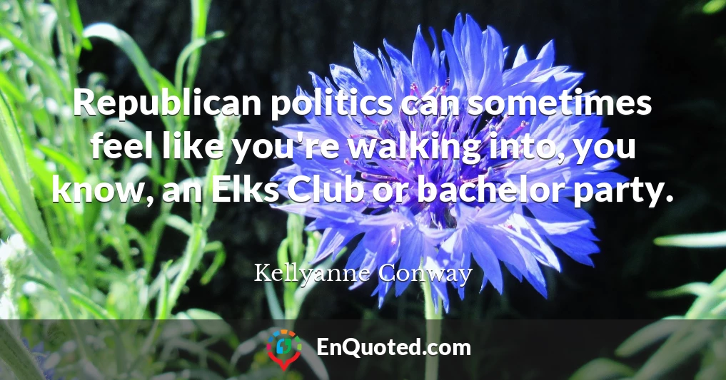 Republican politics can sometimes feel like you're walking into, you know, an Elks Club or bachelor party.