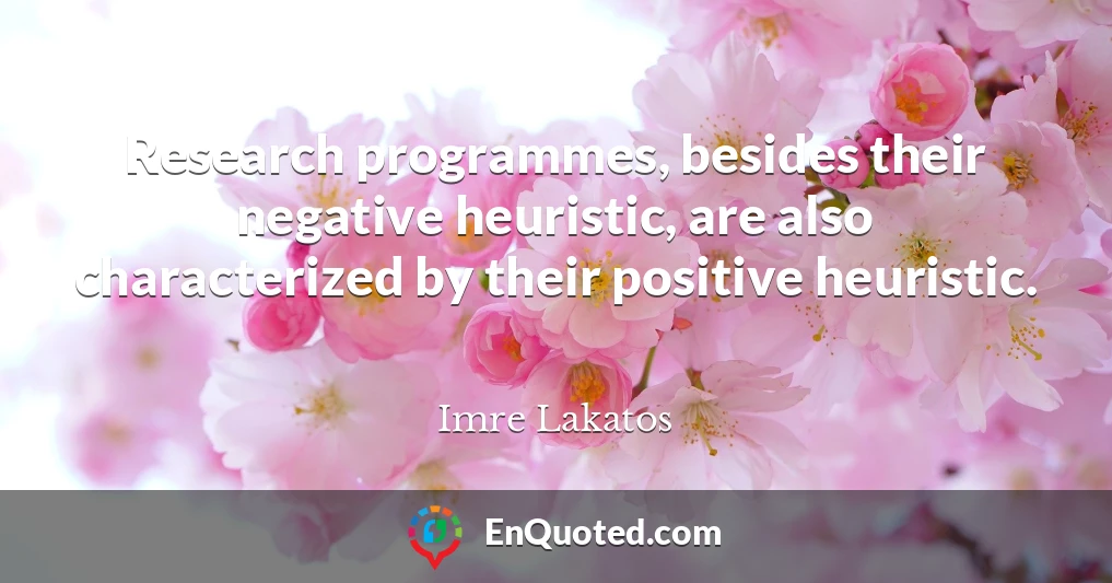 Research programmes, besides their negative heuristic, are also characterized by their positive heuristic.