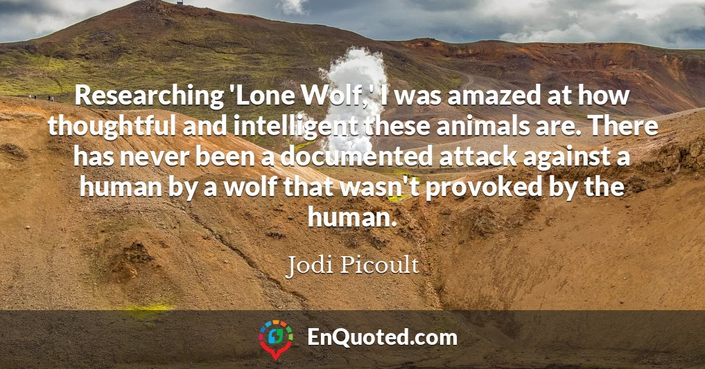 Researching 'Lone Wolf,' I was amazed at how thoughtful and intelligent these animals are. There has never been a documented attack against a human by a wolf that wasn't provoked by the human.