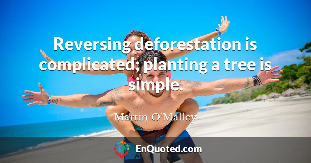 Reversing deforestation is complicated; planting a tree is simple.