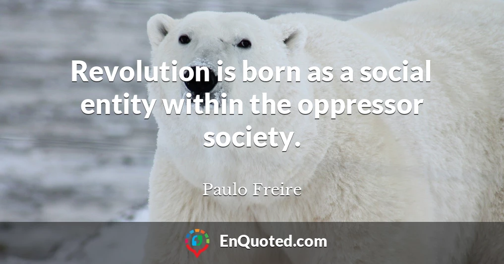 Revolution is born as a social entity within the oppressor society.