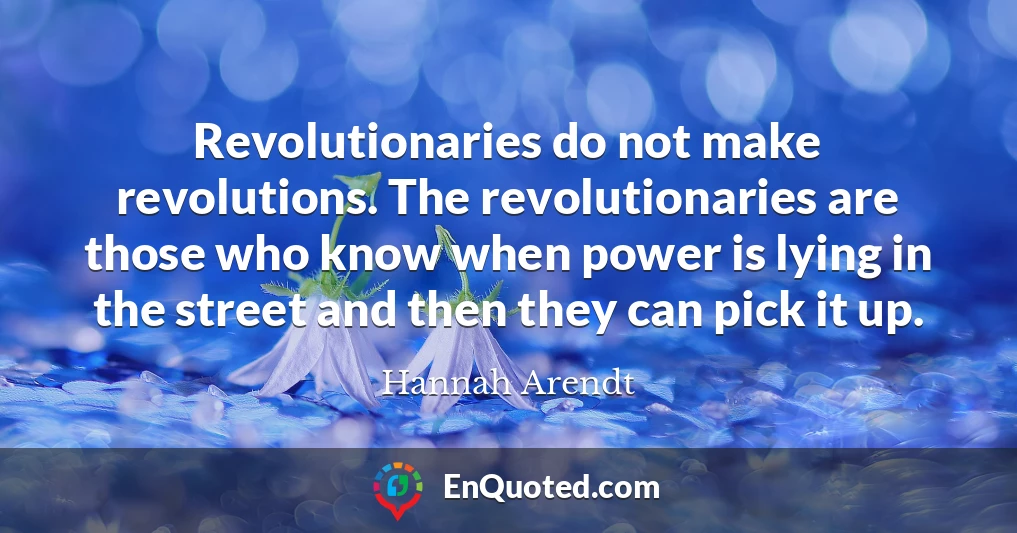 Revolutionaries do not make revolutions. The revolutionaries are those who know when power is lying in the street and then they can pick it up.