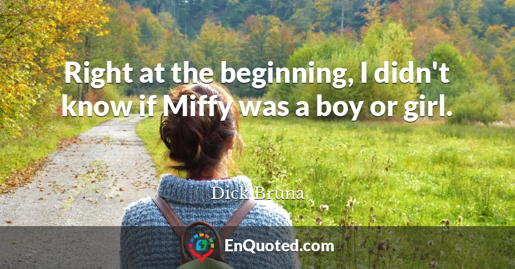 Right at the beginning, I didn't know if Miffy was a boy or girl.