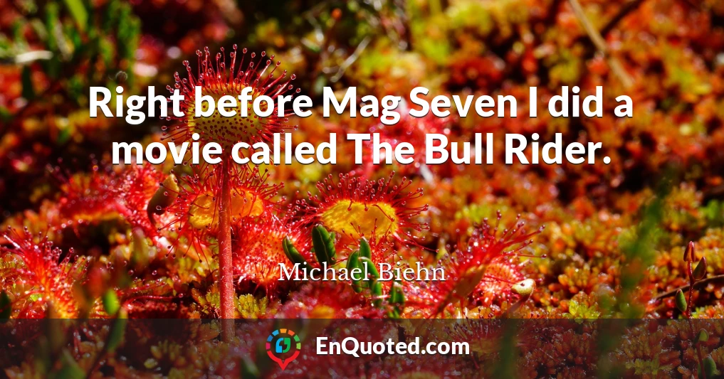 Right before Mag Seven I did a movie called The Bull Rider.