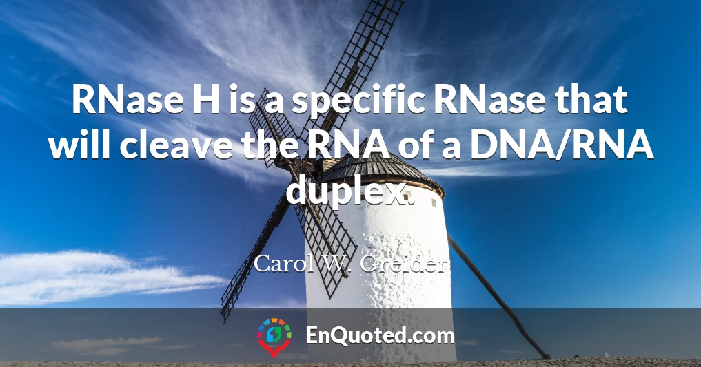 RNase H is a specific RNase that will cleave the RNA of a DNA/RNA duplex.