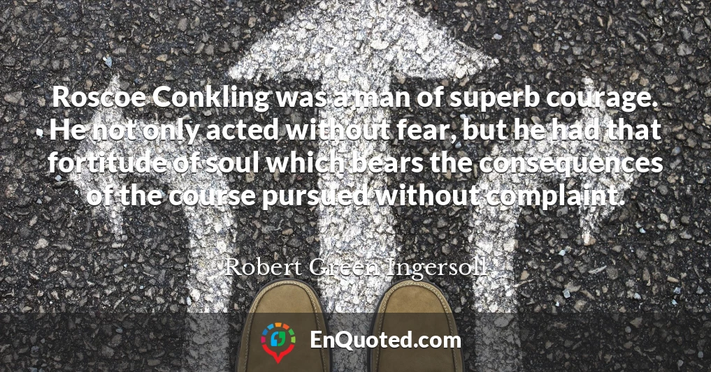 Roscoe Conkling was a man of superb courage. He not only acted without fear, but he had that fortitude of soul which bears the consequences of the course pursued without complaint.