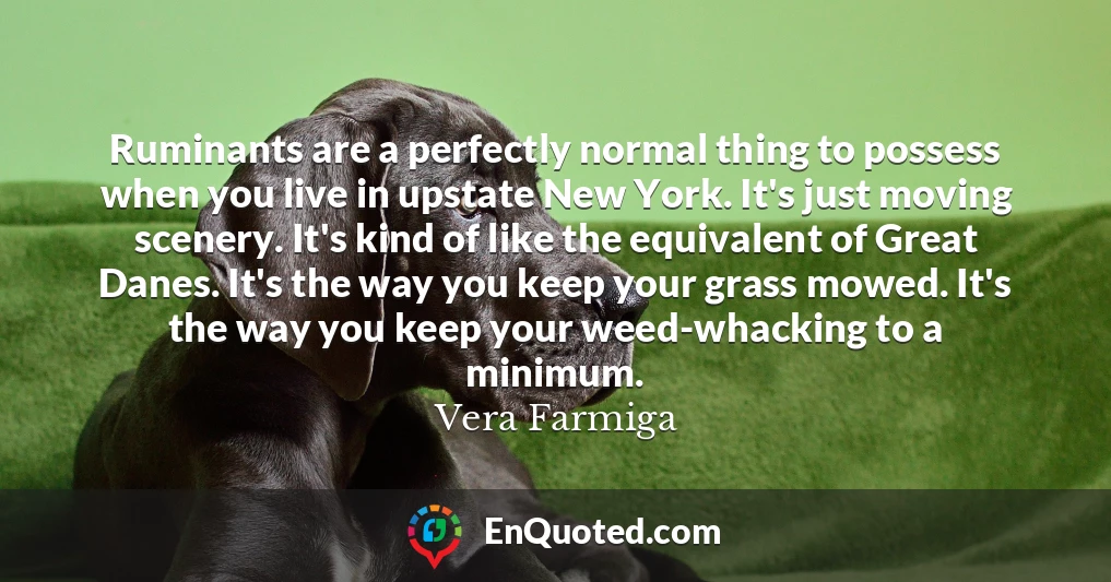 Ruminants are a perfectly normal thing to possess when you live in upstate New York. It's just moving scenery. It's kind of like the equivalent of Great Danes. It's the way you keep your grass mowed. It's the way you keep your weed-whacking to a minimum.