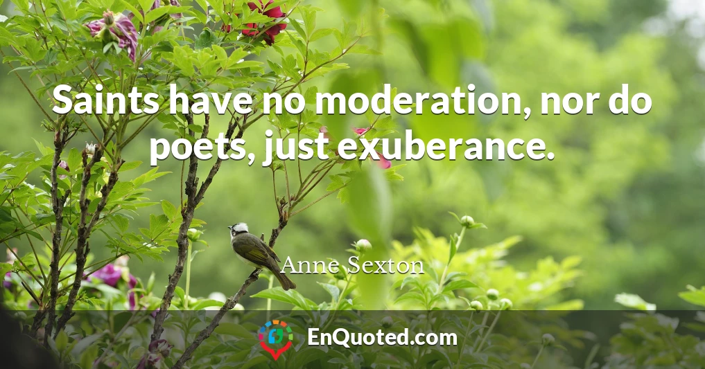 Saints have no moderation, nor do poets, just exuberance.