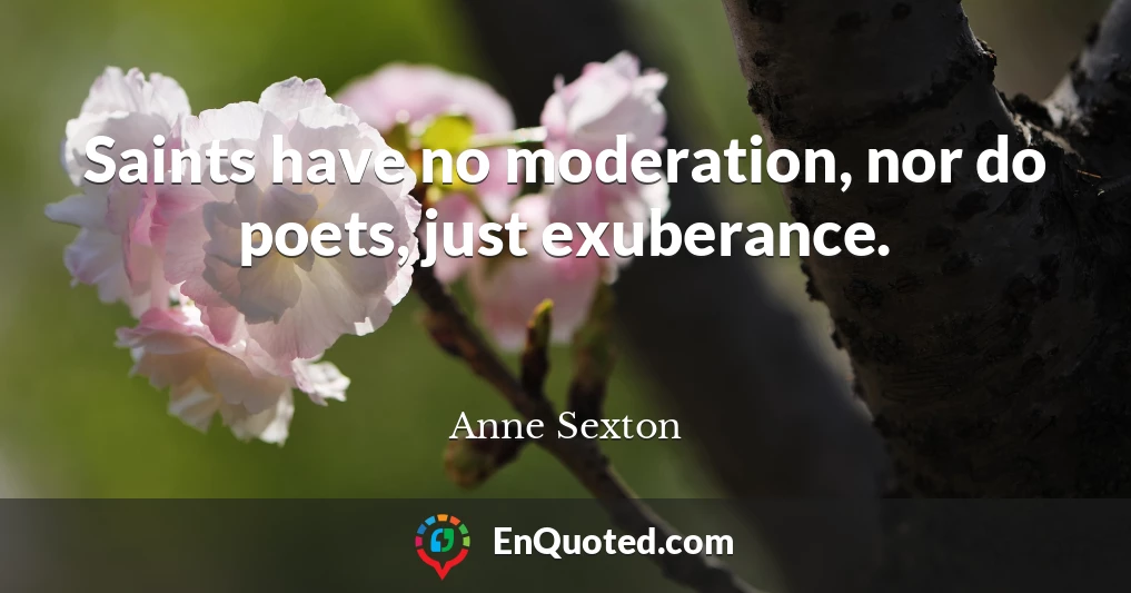 Saints have no moderation, nor do poets, just exuberance.