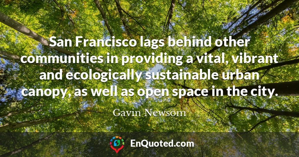 San Francisco lags behind other communities in providing a vital, vibrant and ecologically sustainable urban canopy, as well as open space in the city.