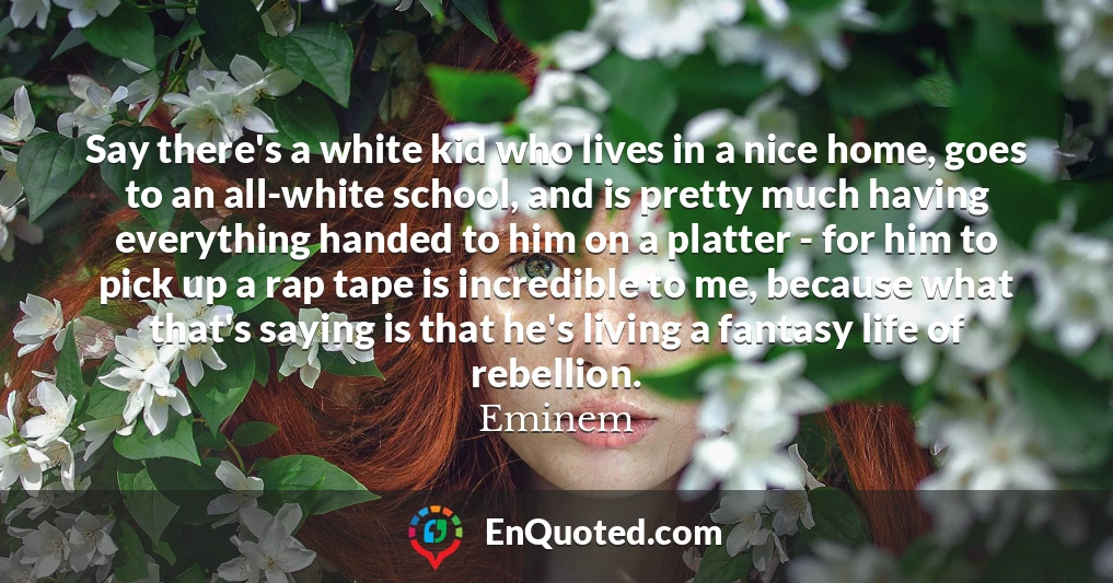Say there's a white kid who lives in a nice home, goes to an all-white school, and is pretty much having everything handed to him on a platter - for him to pick up a rap tape is incredible to me, because what that's saying is that he's living a fantasy life of rebellion.