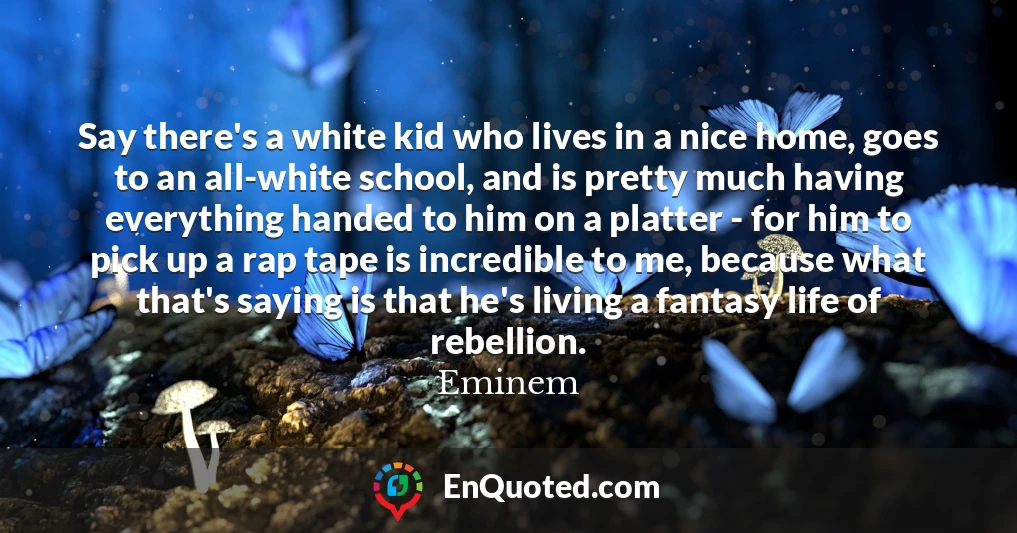 Say there's a white kid who lives in a nice home, goes to an all-white school, and is pretty much having everything handed to him on a platter - for him to pick up a rap tape is incredible to me, because what that's saying is that he's living a fantasy life of rebellion.