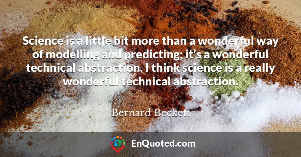 Science is a little bit more than a wonderful way of modelling and predicting; it's a wonderful technical abstraction. I think science is a really wonderful technical abstraction.