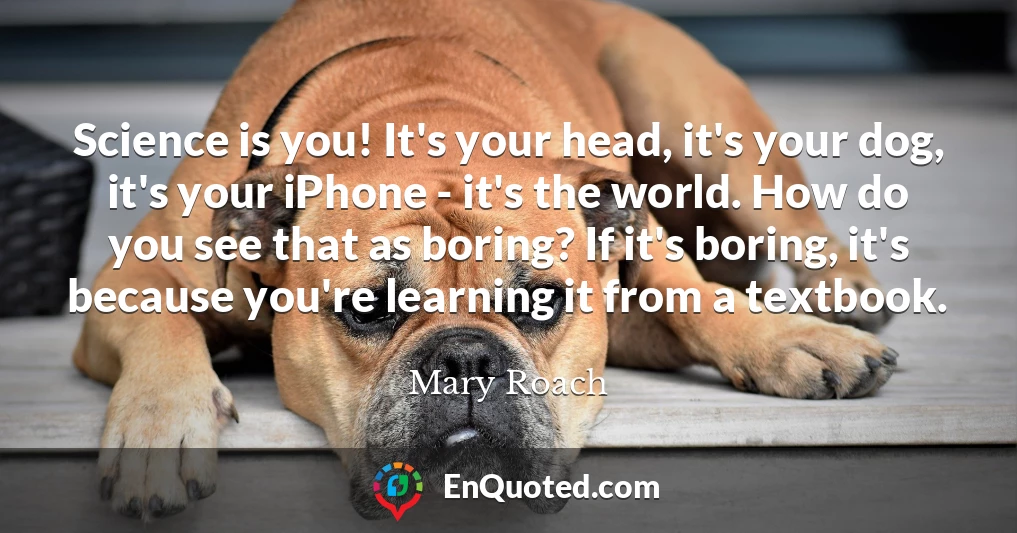 Science is you! It's your head, it's your dog, it's your iPhone - it's the world. How do you see that as boring? If it's boring, it's because you're learning it from a textbook.