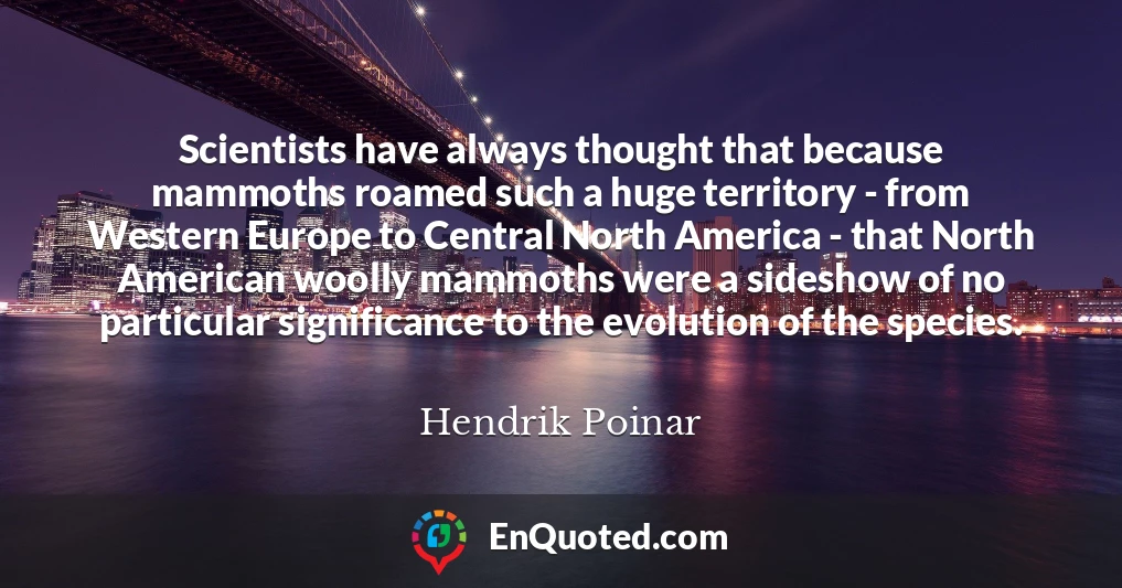 Scientists have always thought that because mammoths roamed such a huge territory - from Western Europe to Central North America - that North American woolly mammoths were a sideshow of no particular significance to the evolution of the species.