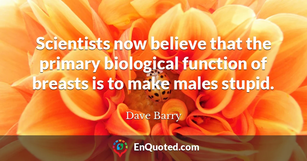 Scientists now believe that the primary biological function of breasts is to make males stupid.