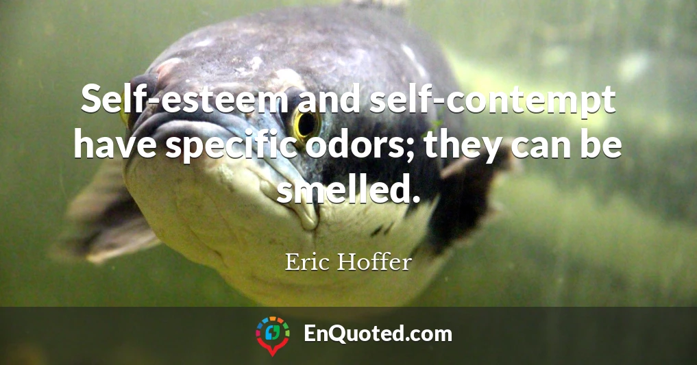 Self-esteem and self-contempt have specific odors; they can be smelled.