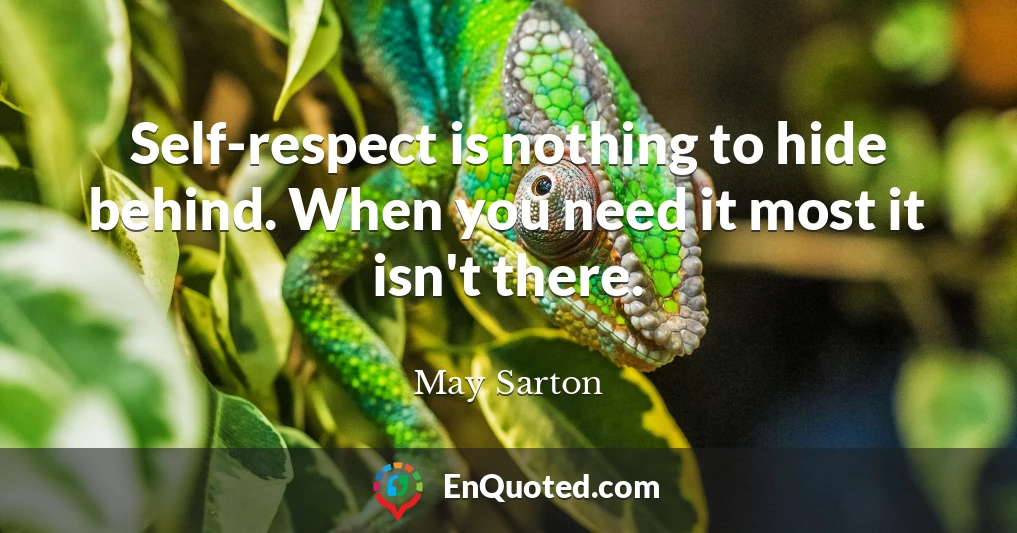 Self-respect is nothing to hide behind. When you need it most it isn't there.