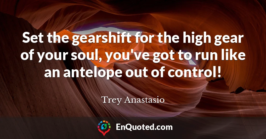 Set the gearshift for the high gear of your soul, you've got to run like an antelope out of control!