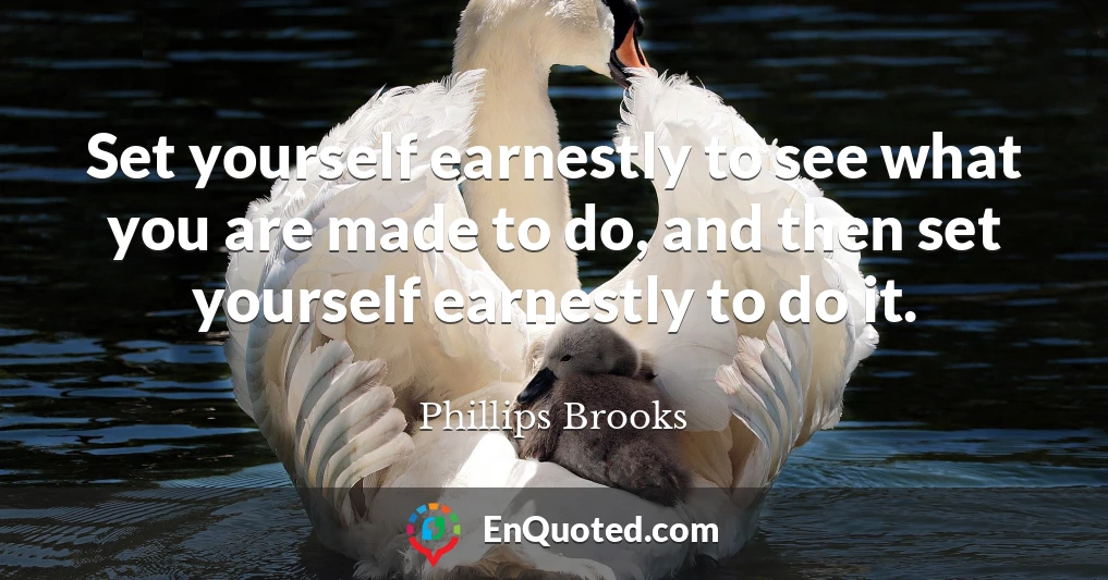 Set yourself earnestly to see what you are made to do, and then set yourself earnestly to do it.