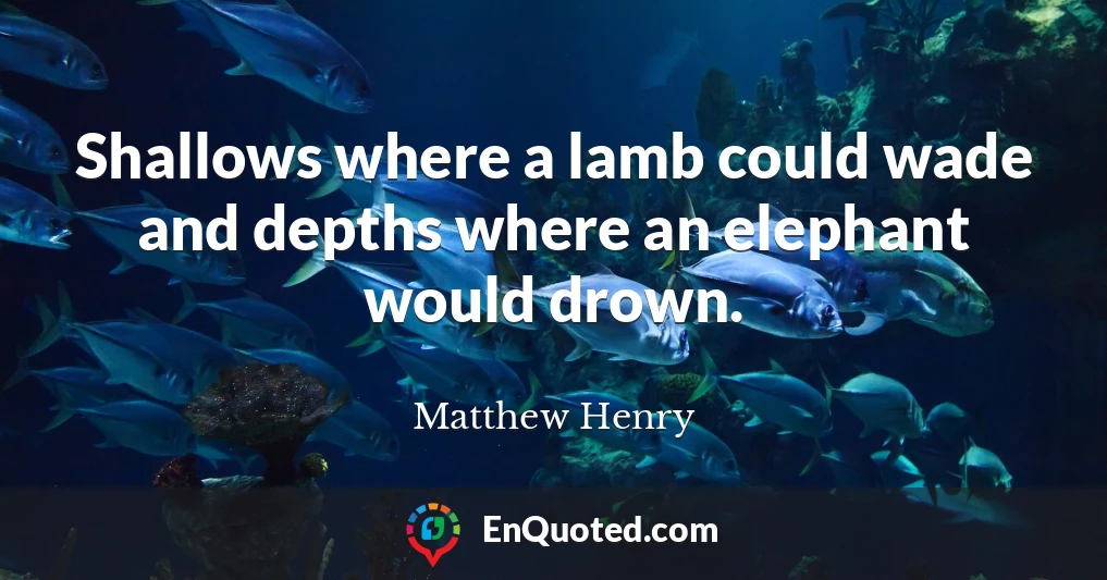 Shallows where a lamb could wade and depths where an elephant would drown.