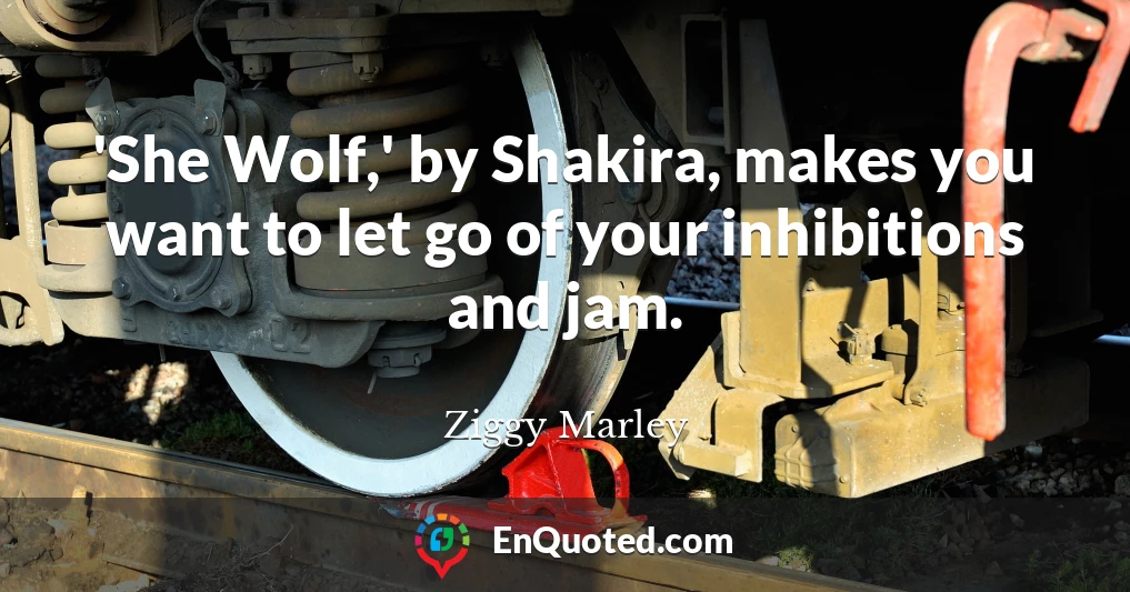 'She Wolf,' by Shakira, makes you want to let go of your inhibitions and jam.